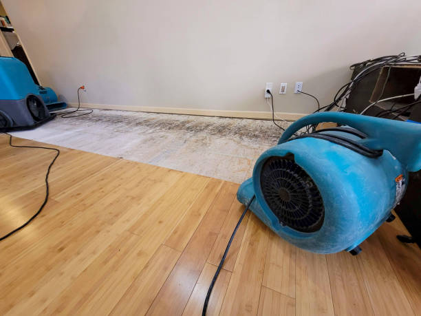Professional Basement Flood Cleanup technician working in Dos Palos, CA